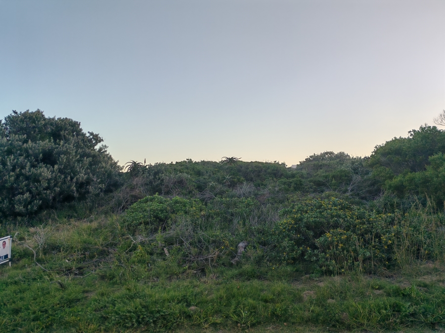 0 Bedroom Property for Sale in Boknesstrand Eastern Cape